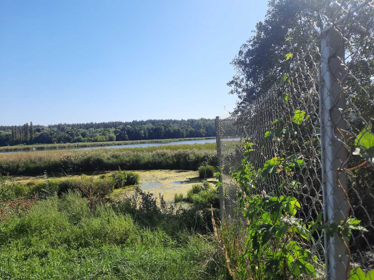 Продаж ділянки під індивідуальне житлове будівництво 8 соток, Обухівська вул.