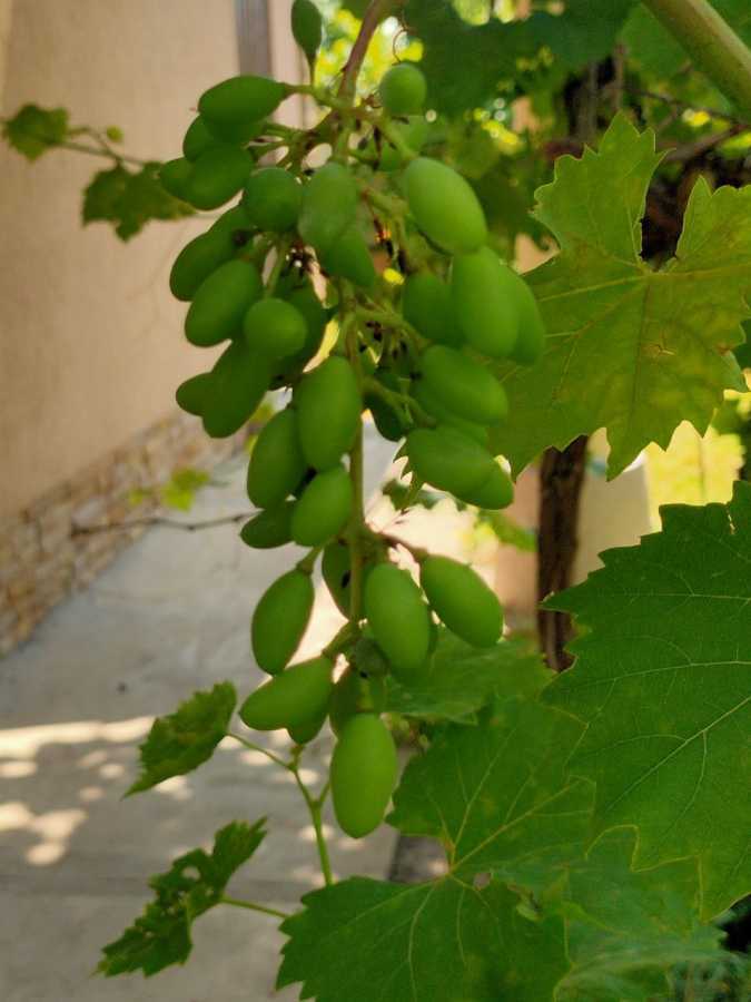 Продажа дома 200 м², Тиха