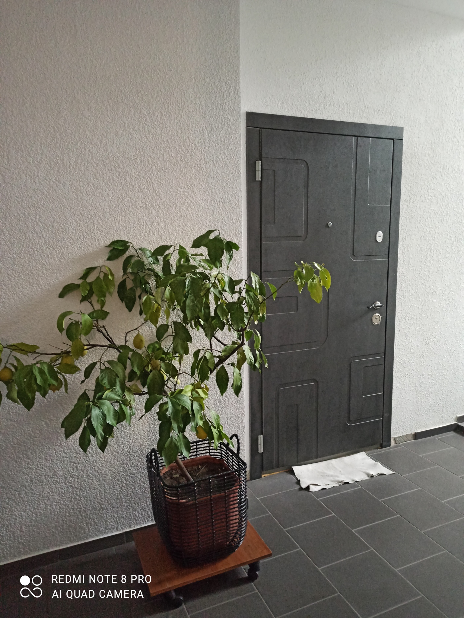 Продажа 1-комнатной квартиры 43 м²