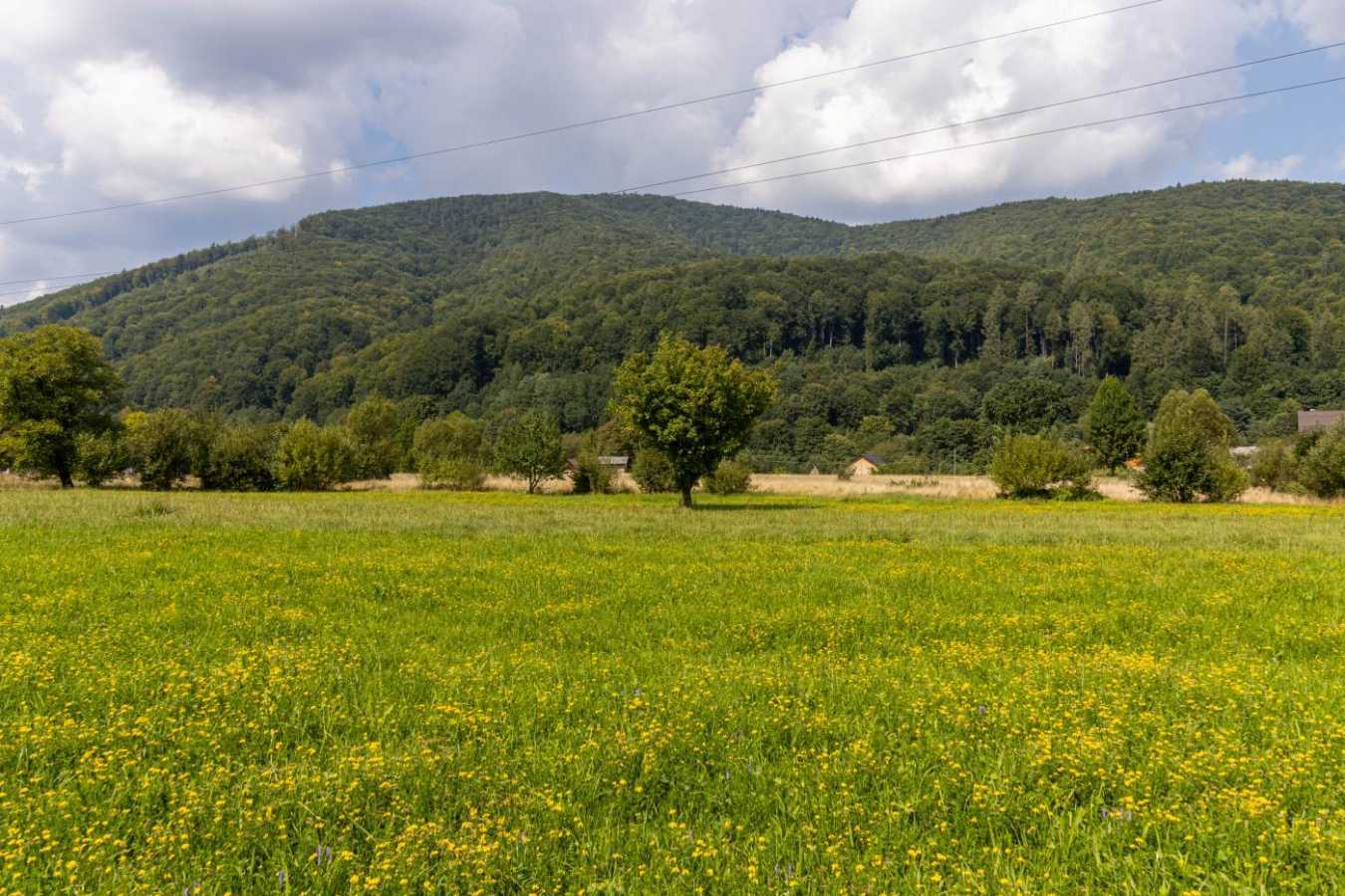 Продажа участка под индивидуальное жилое строительство 14 соток, Василия Стефаныка ул.