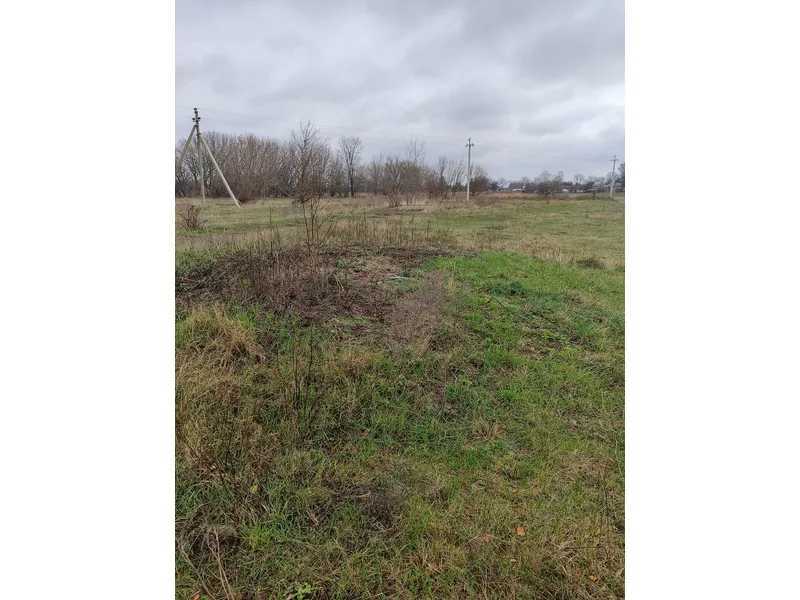 Продаж ділянки для особистого сільського господарства 169.49 соток, Омельянов, улица Нова