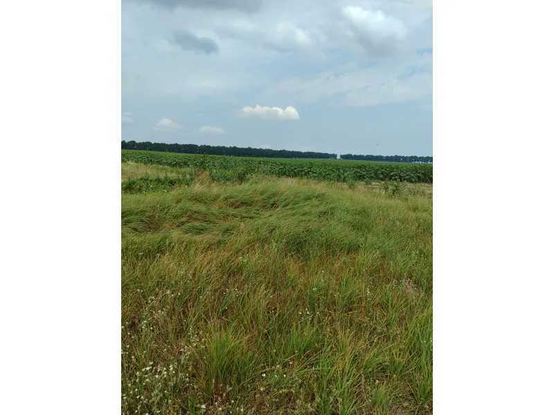 Продаж ділянки для особистого сільського господарства 1519.95 соток, Нова