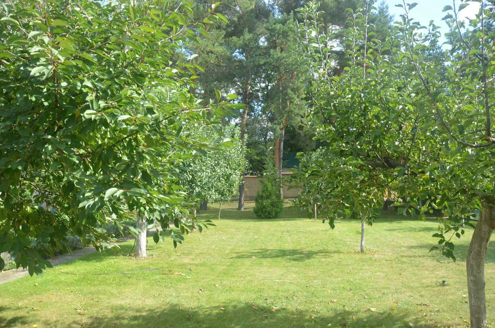 Аренда дома 45 м²