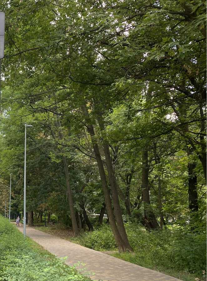 Продажа 2-комнатной квартиры 72.9 м², Тимофея Шамрыло, 4а