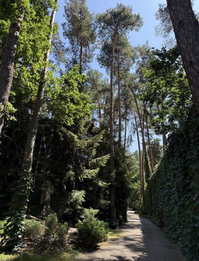 Аренда дома 300 м², Лісова