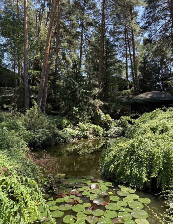 Аренда дома 300 м², Лісова