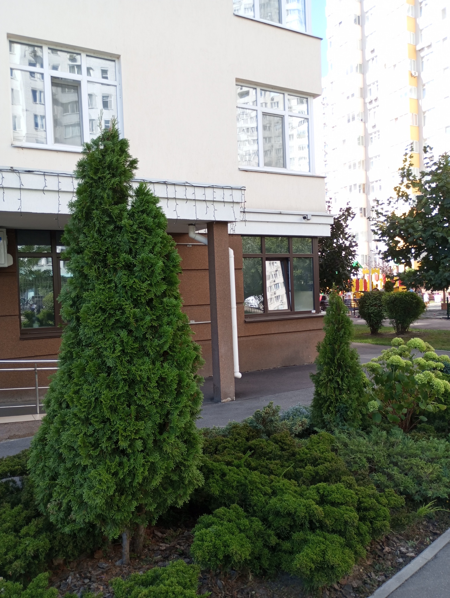 Продажа 2-комнатной квартиры 77 м², Елены Пчилки ул., 3В