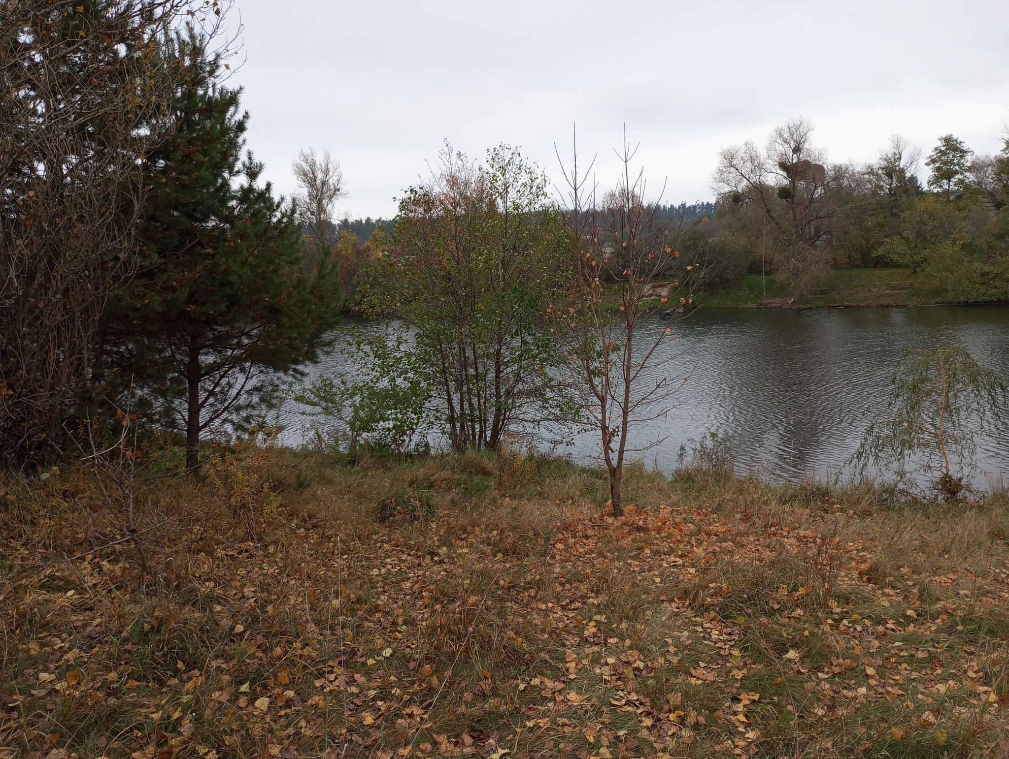 Продаж дачі 55 м²