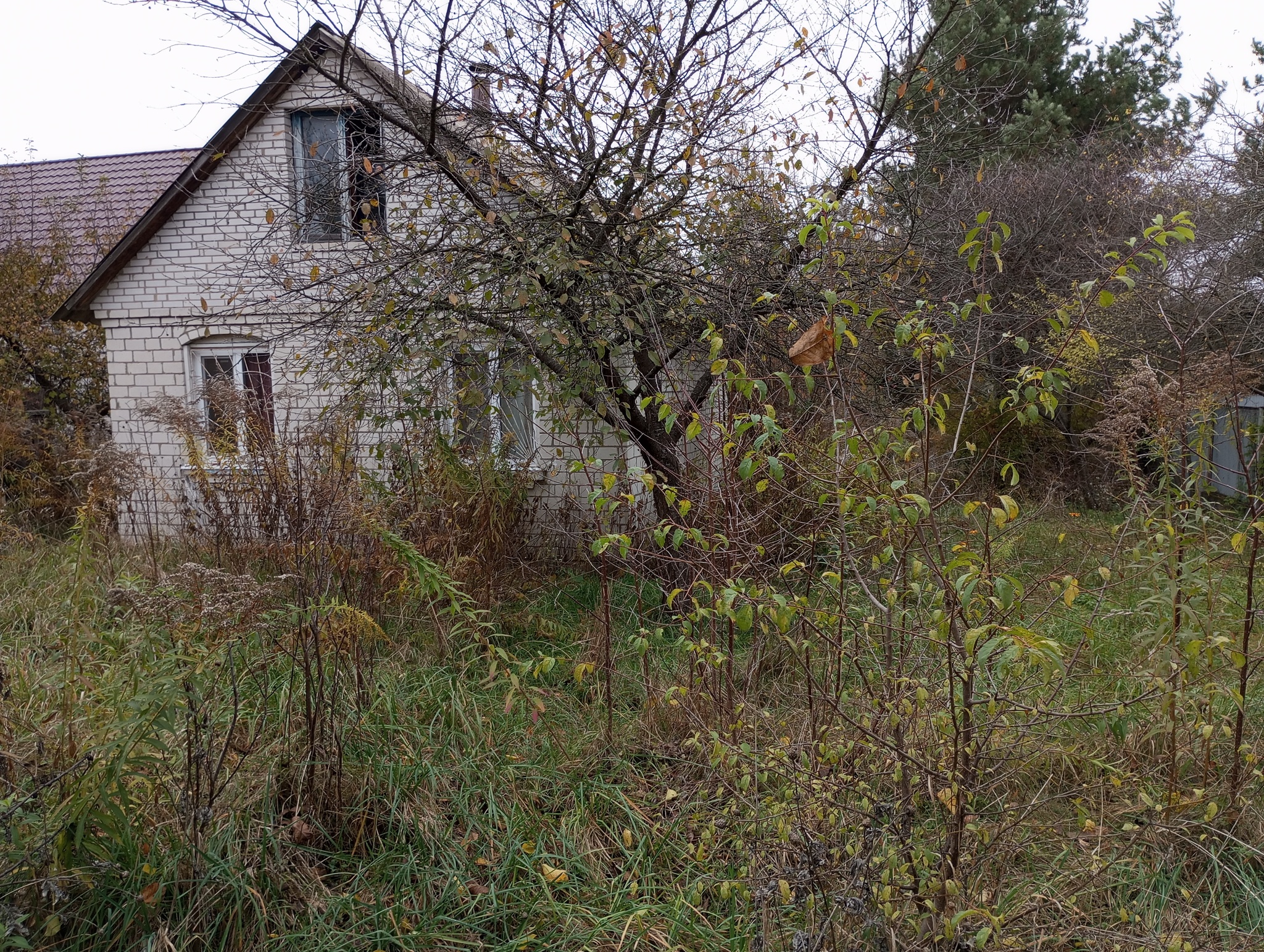 Продаж дачі 55 м²