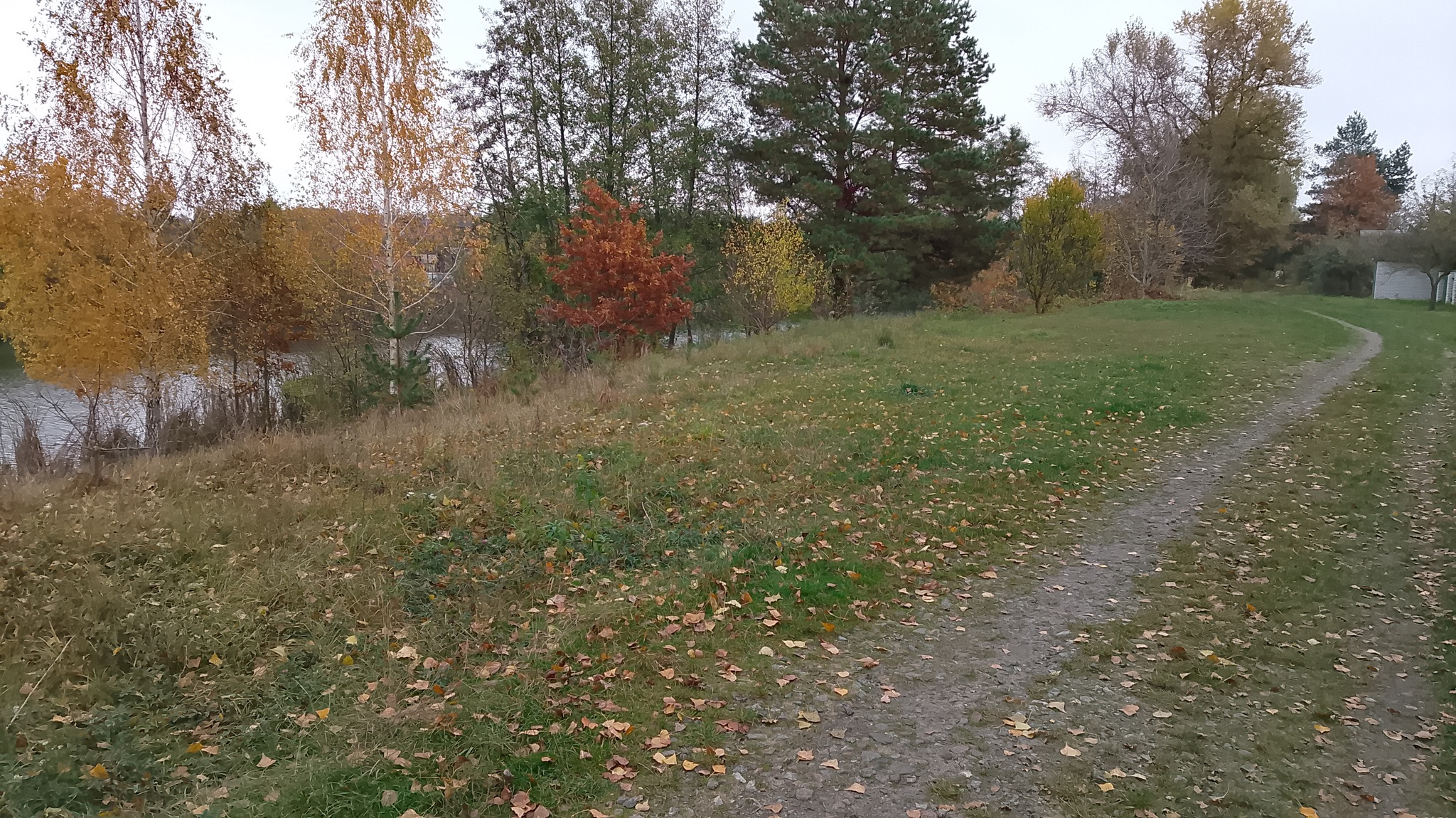 Продаж дачі 55 м²