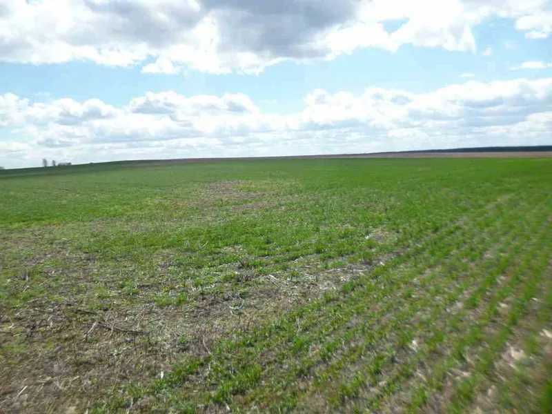 Продаж ділянки для особистого сільського господарства 200 соток, Вороньков, улица Вороньків