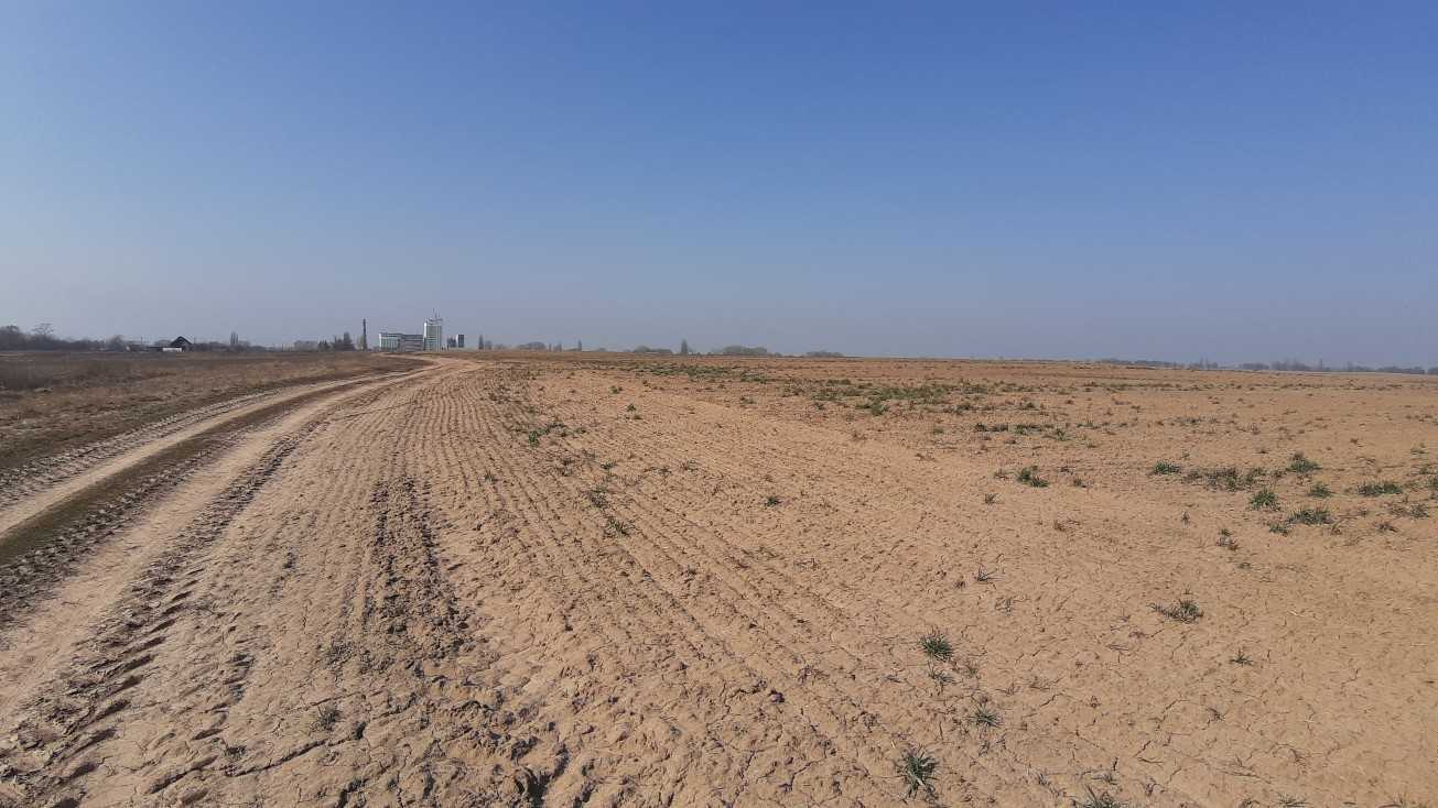 Продаж ділянки для особистого сільського господарства 200 соток, Вороньков, улица Вороньківська ТГ