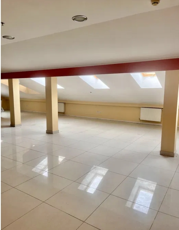 Аренда помещения свободного назначения 300 м², Греческая ул.