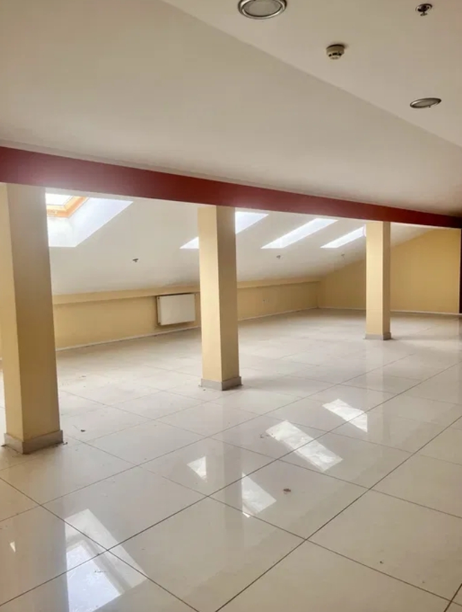 Аренда помещения свободного назначения 300 м², Греческая ул.