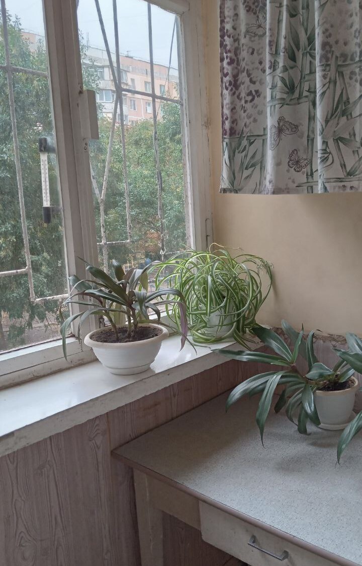 Продажа 3-комнатной квартиры 66 м², Академика Королева ул., 112/3