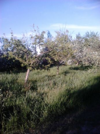 Аренда дома 120 м², Центральная Садовая ул.