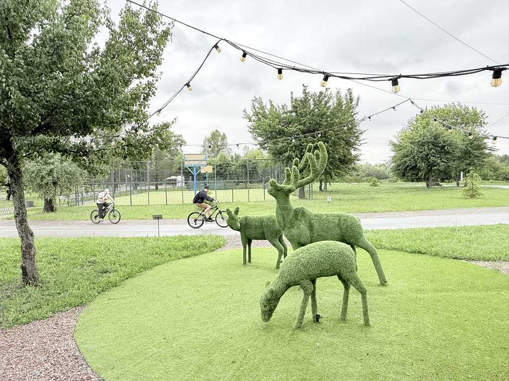 Продаж ділянки під індивідуальне житлове будівництво 19.3 соток, Центральна