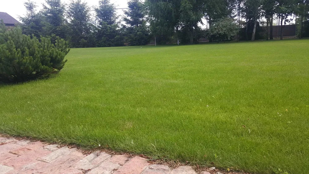 Аренда дома 500 м², Святищенская ул.