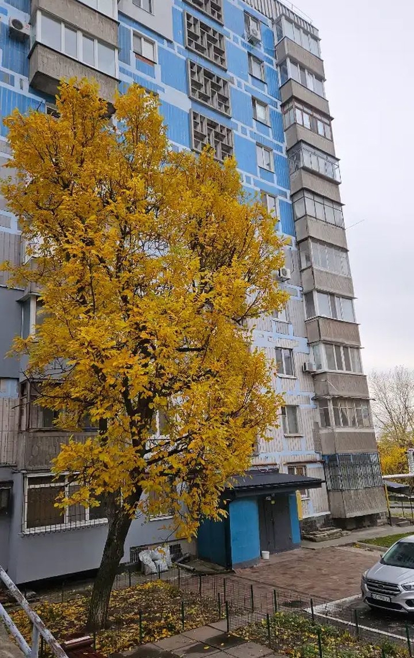 Продажа 2-комнатной квартиры 50 м², Мира просп., 83