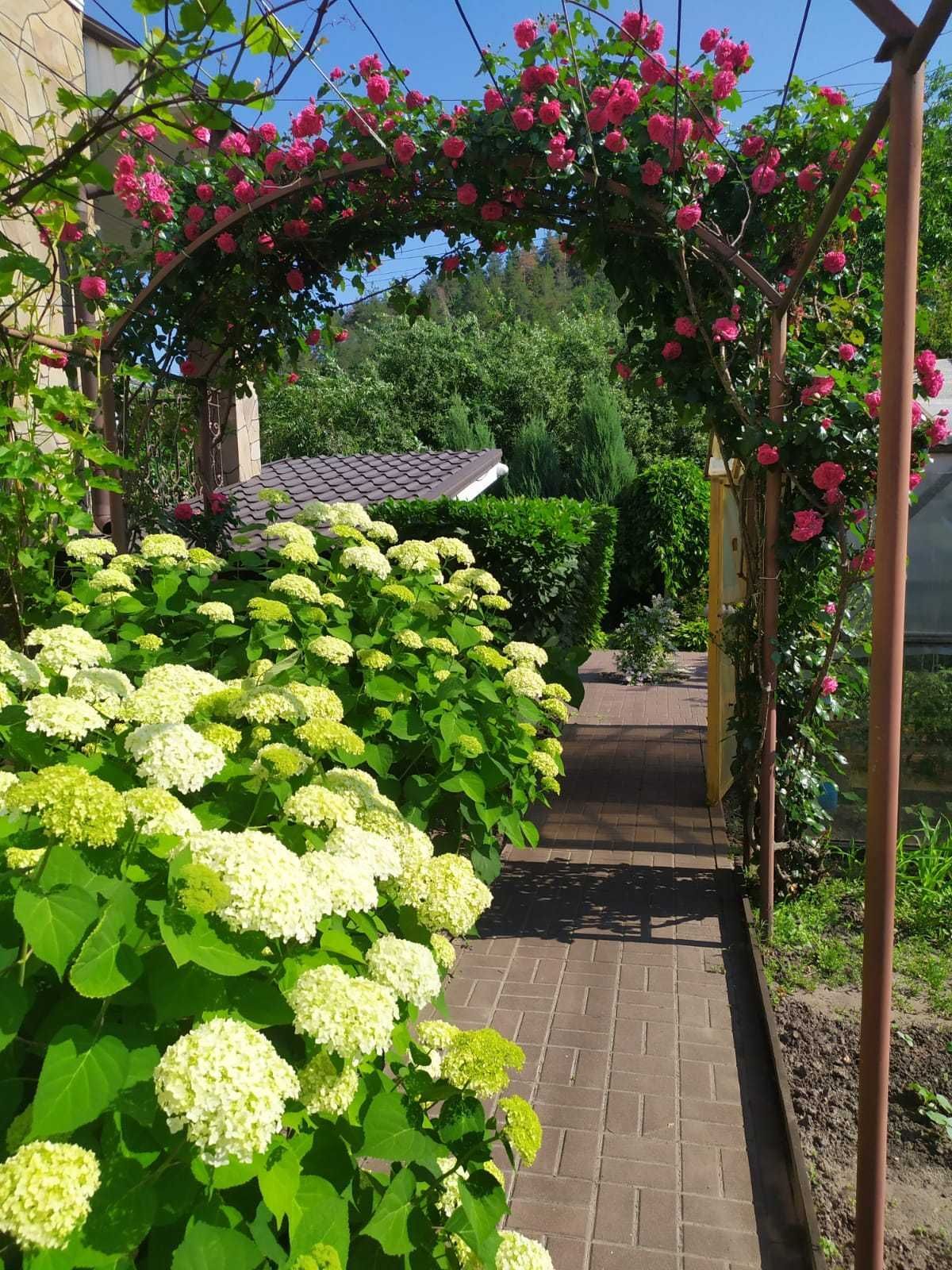 Оренда будинку 180 м²