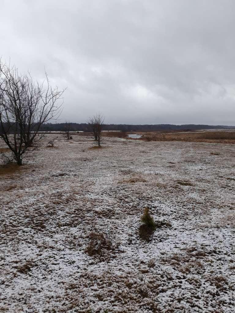 Продажа участка под индивидуальное жилое строительство 25 соток, М.Кримчука