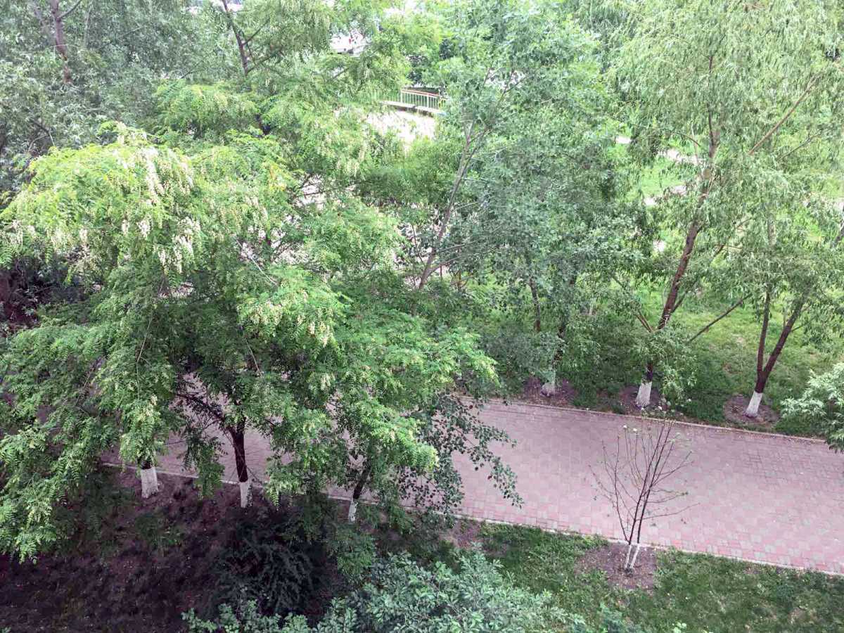 Оренда 1-кімнатної квартири 50 м², Анни Ахматової вул., 28