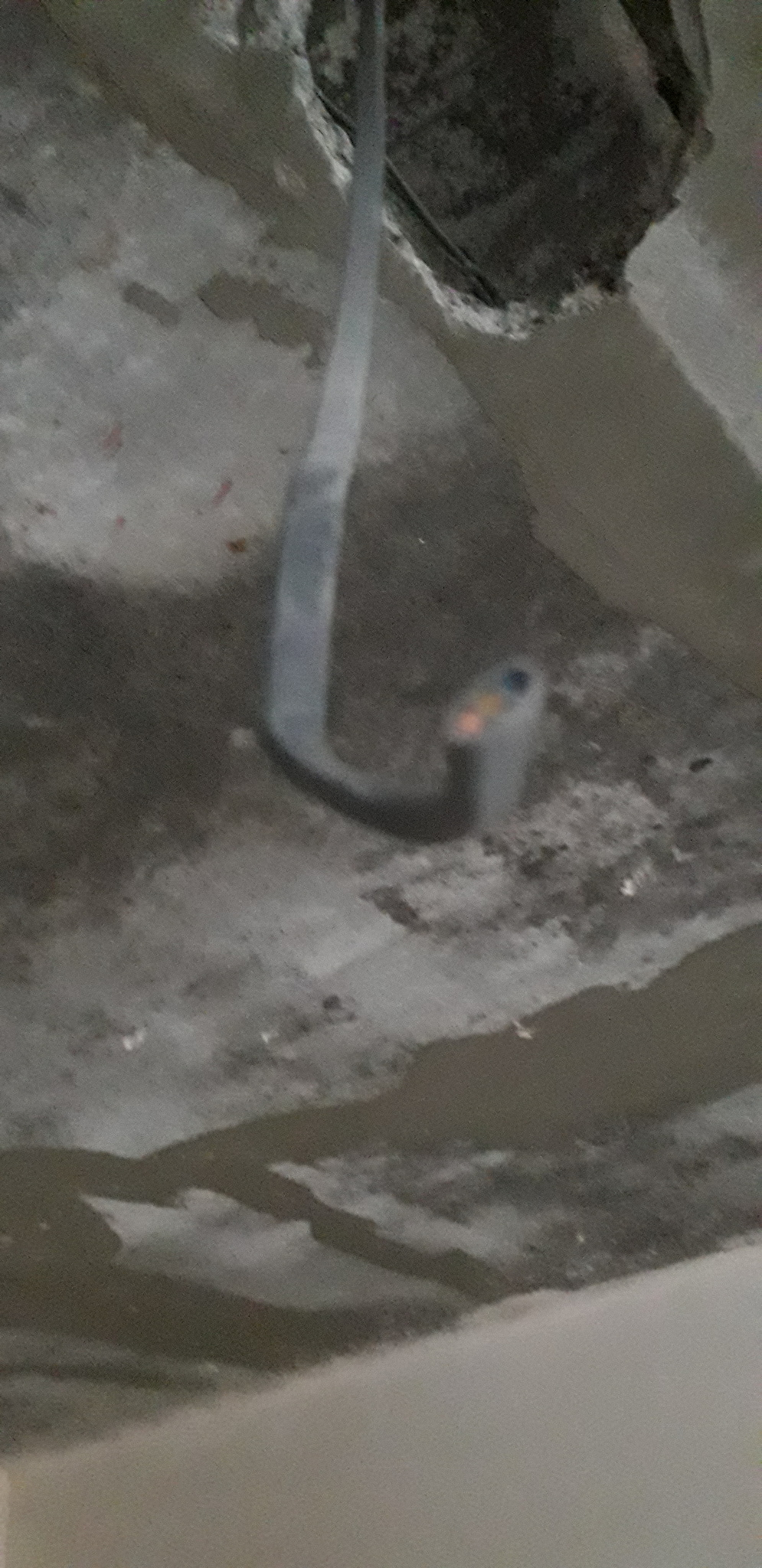 Продажа 1-комнатной квартиры 33.8 м², Павла Грабовского пер., Лі 2Е