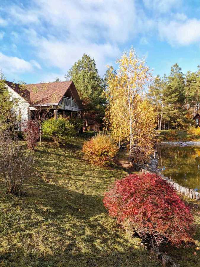 Дом посуточно 55 м², Лесная