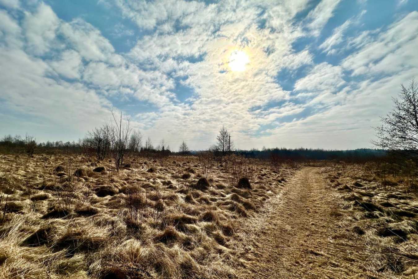 Продажа участка для личного сельского хозяйства 86 соток, Людкевича ул.