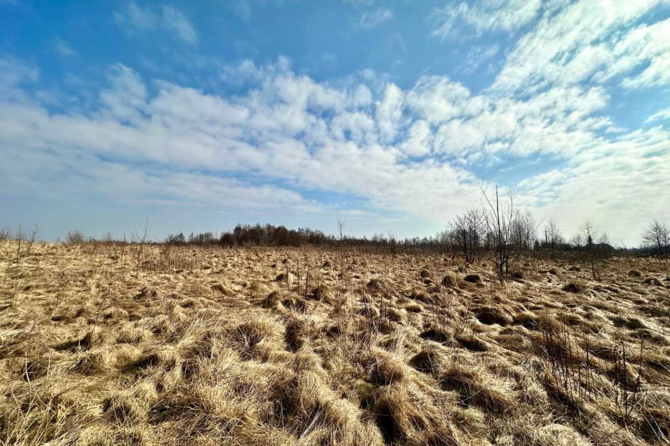 Продажа участка для личного сельского хозяйства 86 соток, Людкевича ул.