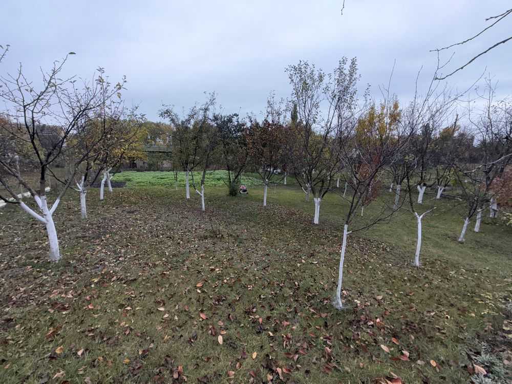 Продаж будинку 56 м², Центральної Ради вул.