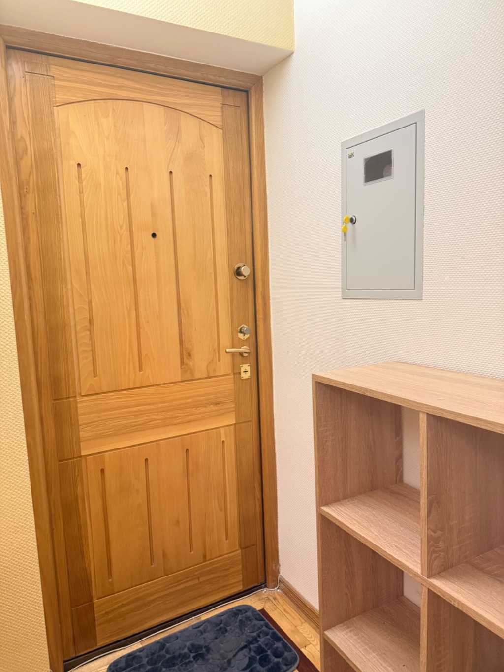 Оренда 1-кімнатної квартири 60 м², Володимира Антоновича вул., 91/14