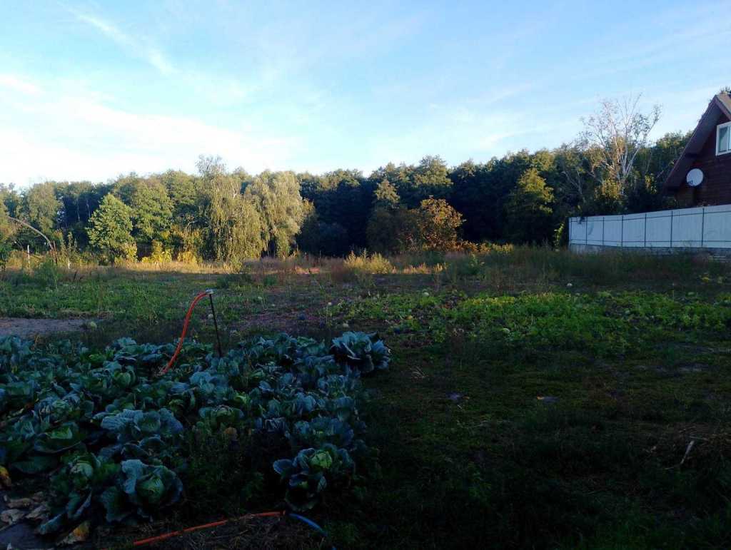 Продаж будинку 60 м², Лісна