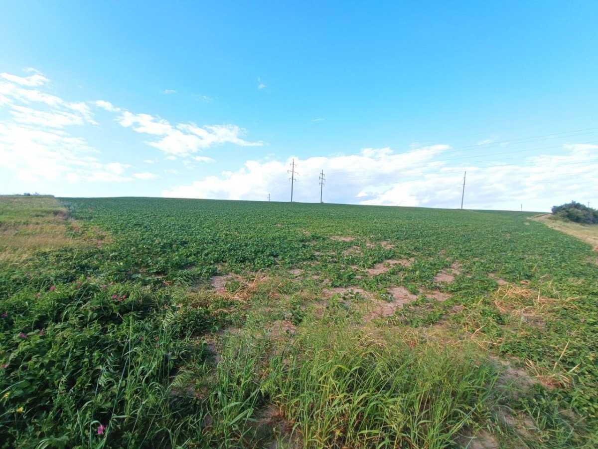 Продажа участка для личного сельского хозяйства 270 соток, миру