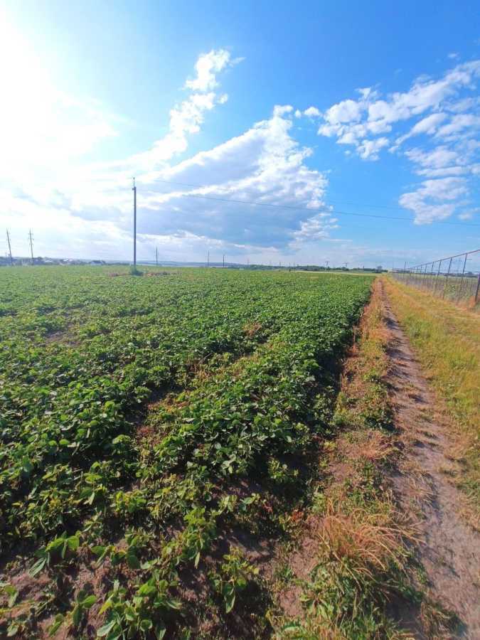 Продажа участка для личного сельского хозяйства 270 соток, миру