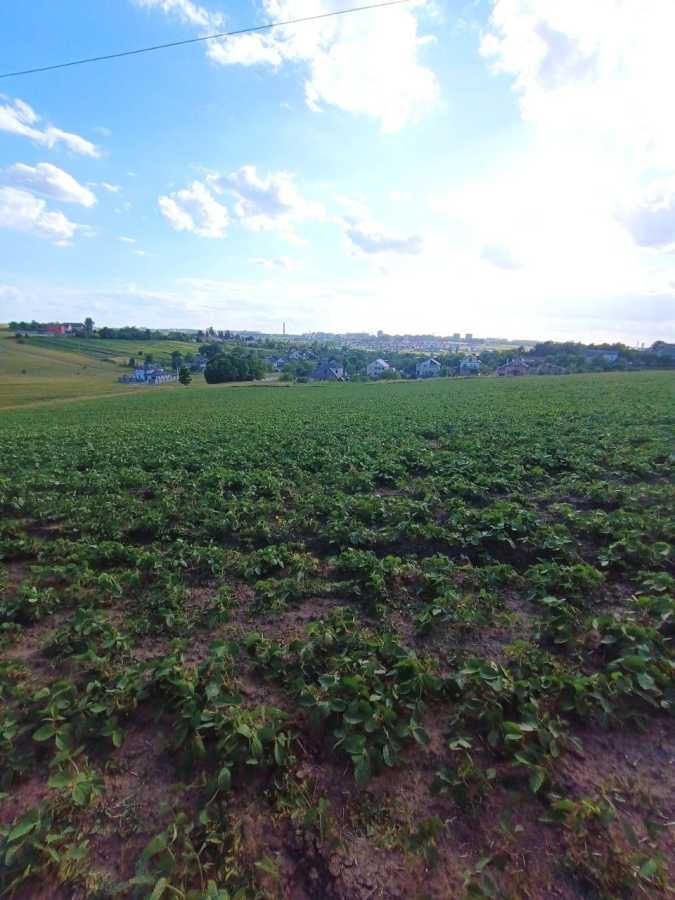 Продажа участка для личного сельского хозяйства 270 соток, миру