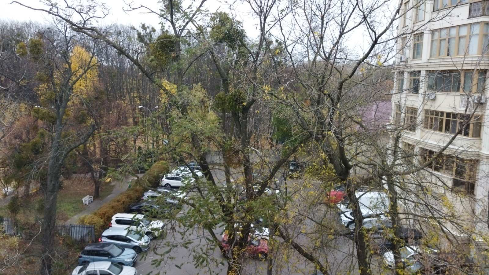 Оренда 1-кімнатної квартири 29.6 м², Парково-Сирецька вул., 6