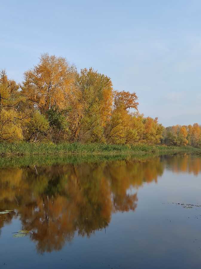 Продажа дома 195 м², Доблестная ул.