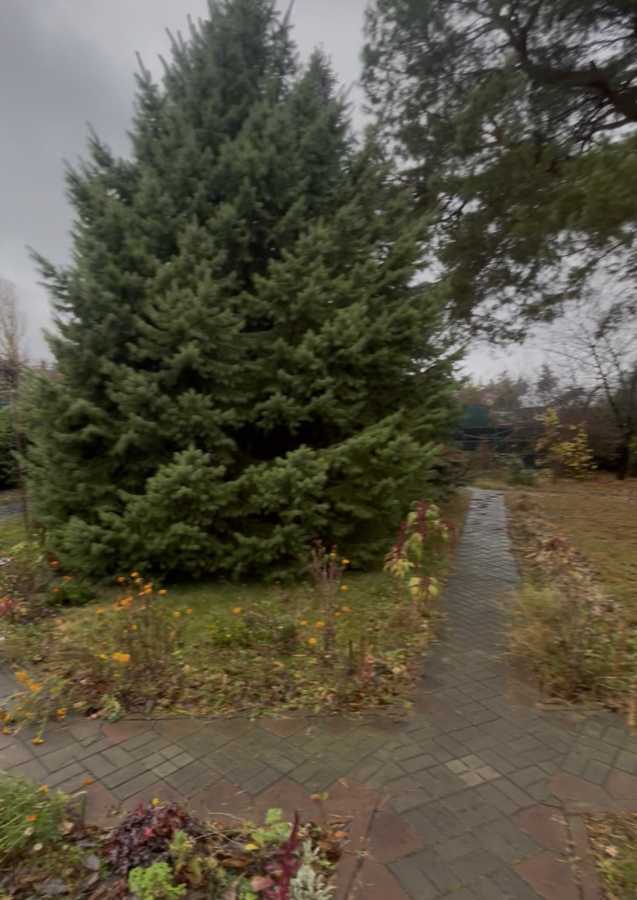 Продаж будинку 650 м², Лісова