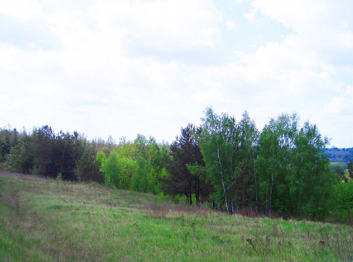 Продаж ділянки під індивідуальне житлове будівництво 6 соток, Винниченко