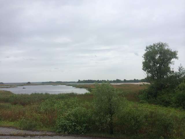 Продажа участка под индивидуальное жилое строительство 576 соток, Центральная ул.