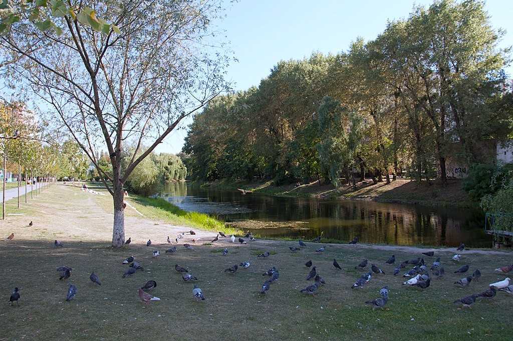 Оренда 1-кімнатної квартири 36 м², Дмитра Луценко вул., 1Б