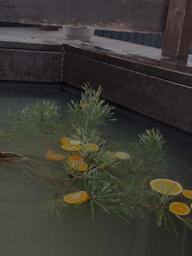 Будинок подобово 150 м², Кринична