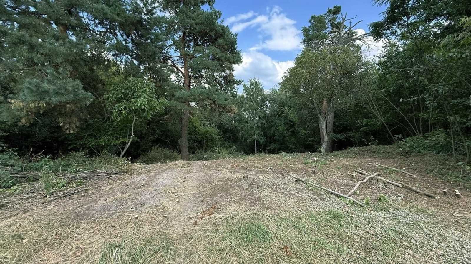 Продаж ділянки під індивідуальне житлове будівництво 20 соток, Малишка 8/1