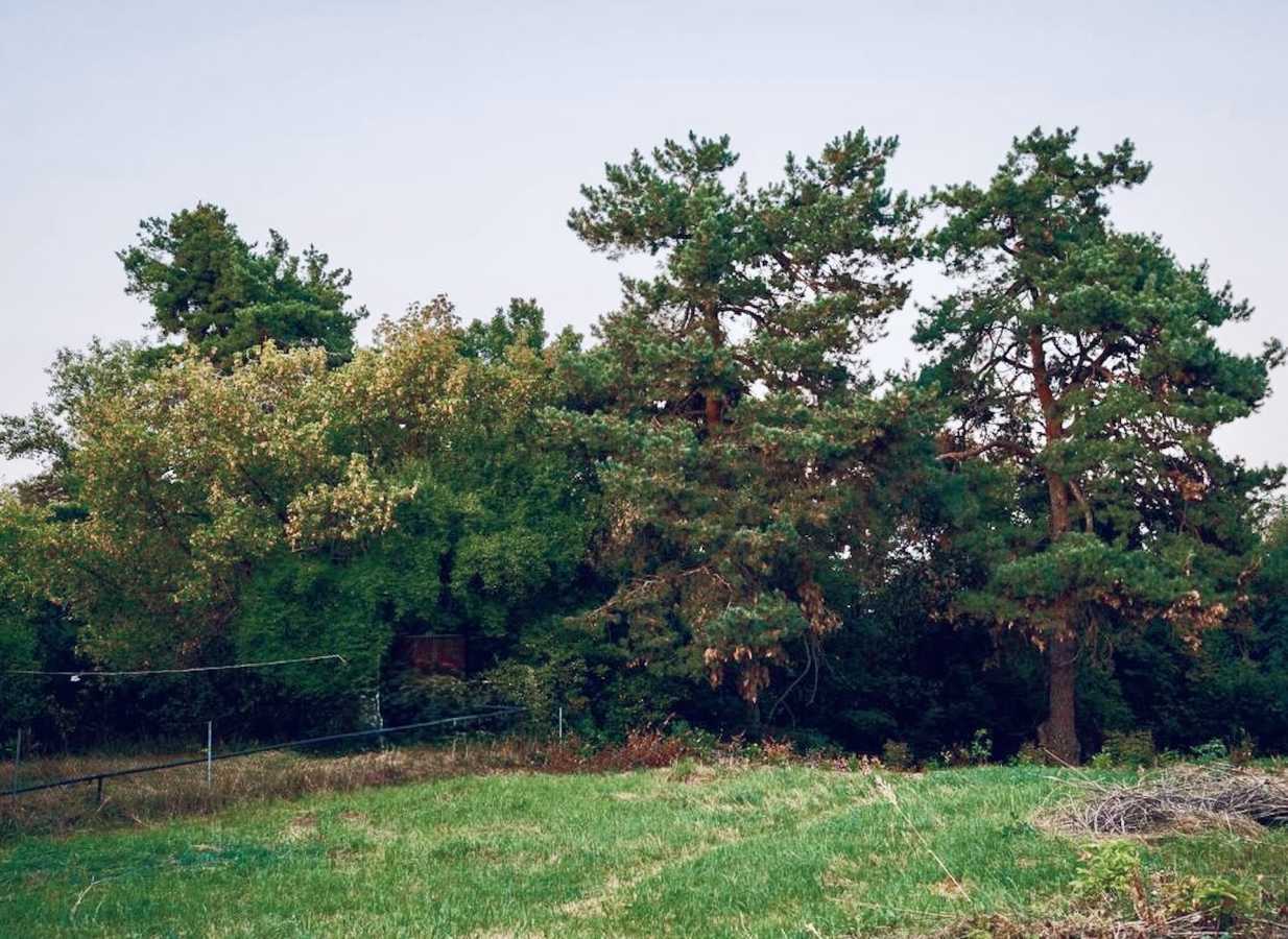 Продаж ділянки під індивідуальне житлове будівництво 20 соток, Малишка 8/1