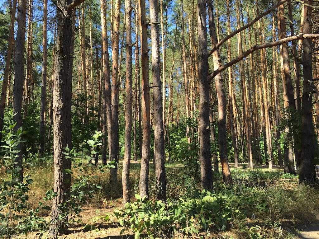 Продаж будинку 160 м², Лисова, 7