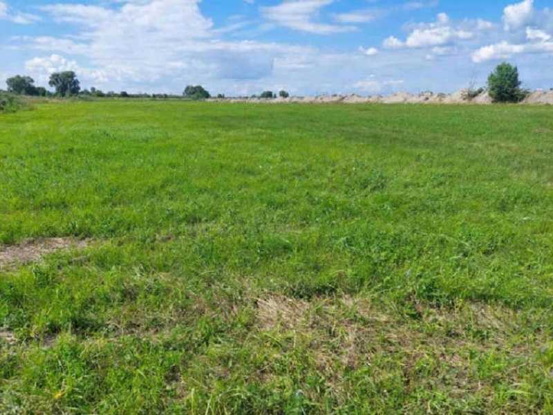 Продаж ділянки для особистого сільського господарства 6232 соток, Зазімська с/р