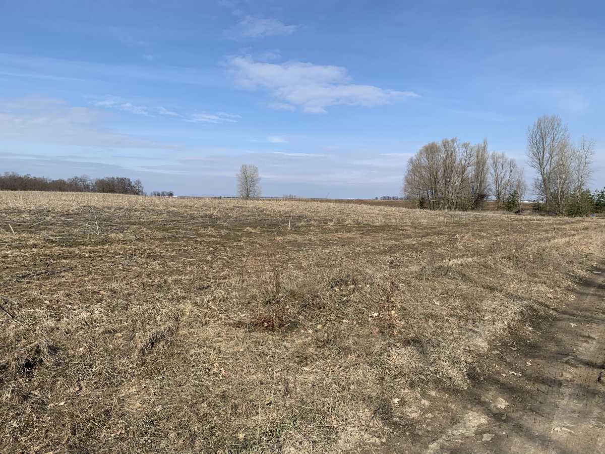 Продаж ділянки для особистого сільського господарства 200 соток, Глибоцька с/р