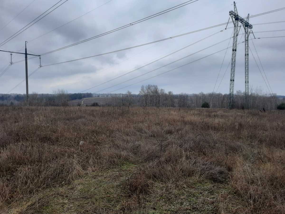 Продаж ділянки для особистого сільського господарства 153 соток, Долинова