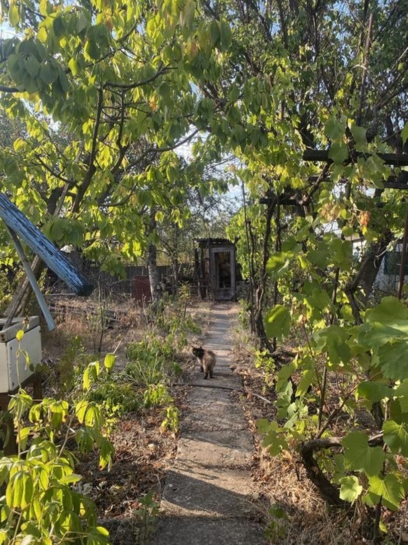 Продажа дачи 110 м²